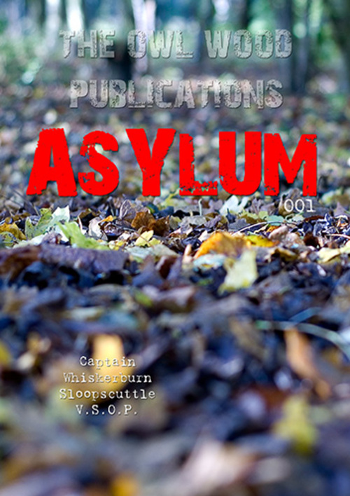 Product picture ASYLUM! The Owl Wood Publications: 001